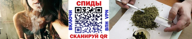 Купить где Гагарин Бутират буратино