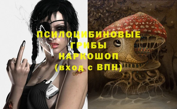 прущий лед Алзамай