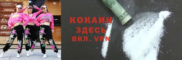хмурый Алексин