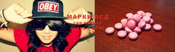 прущий лед Алзамай