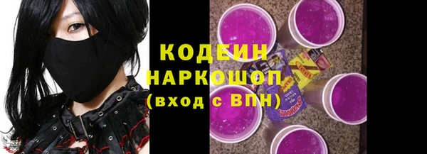 прущий лед Алзамай