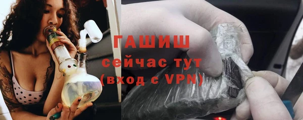 хмурый Алексин