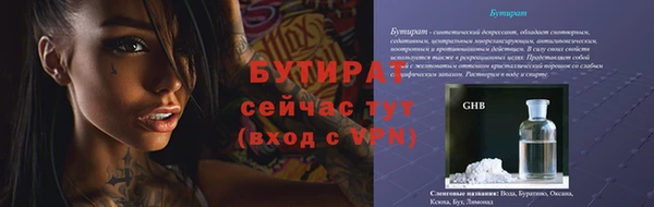 хмурый Алексин