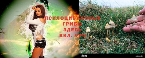 а пвп мука Алексеевка