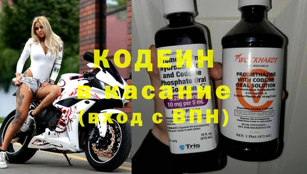 хмурый Алексин