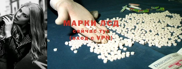 прущий лед Алзамай